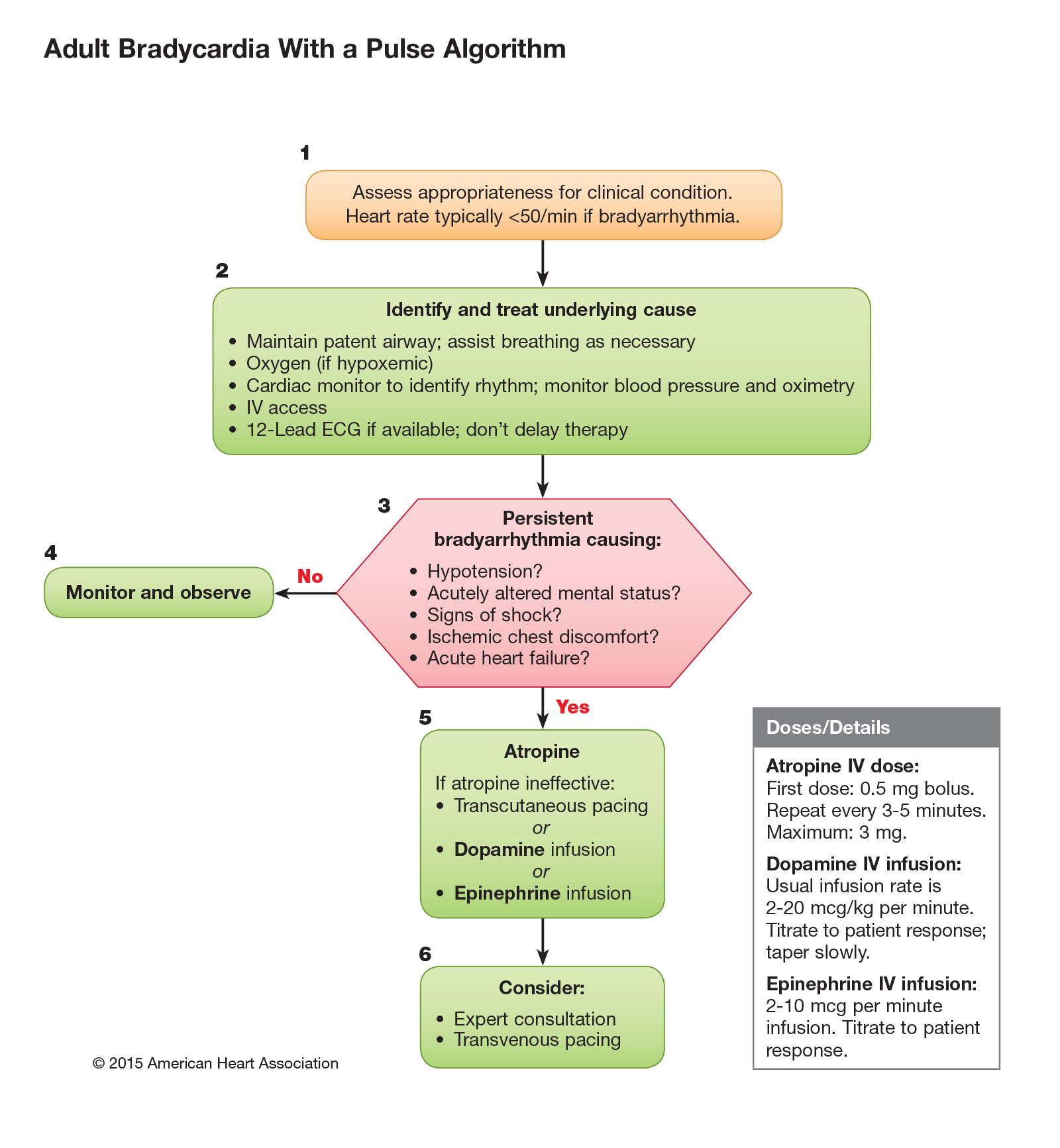 2010-Integrated_Updated-Circulation-ACLS-Bradycardia-Algorithm - ECCpodcast